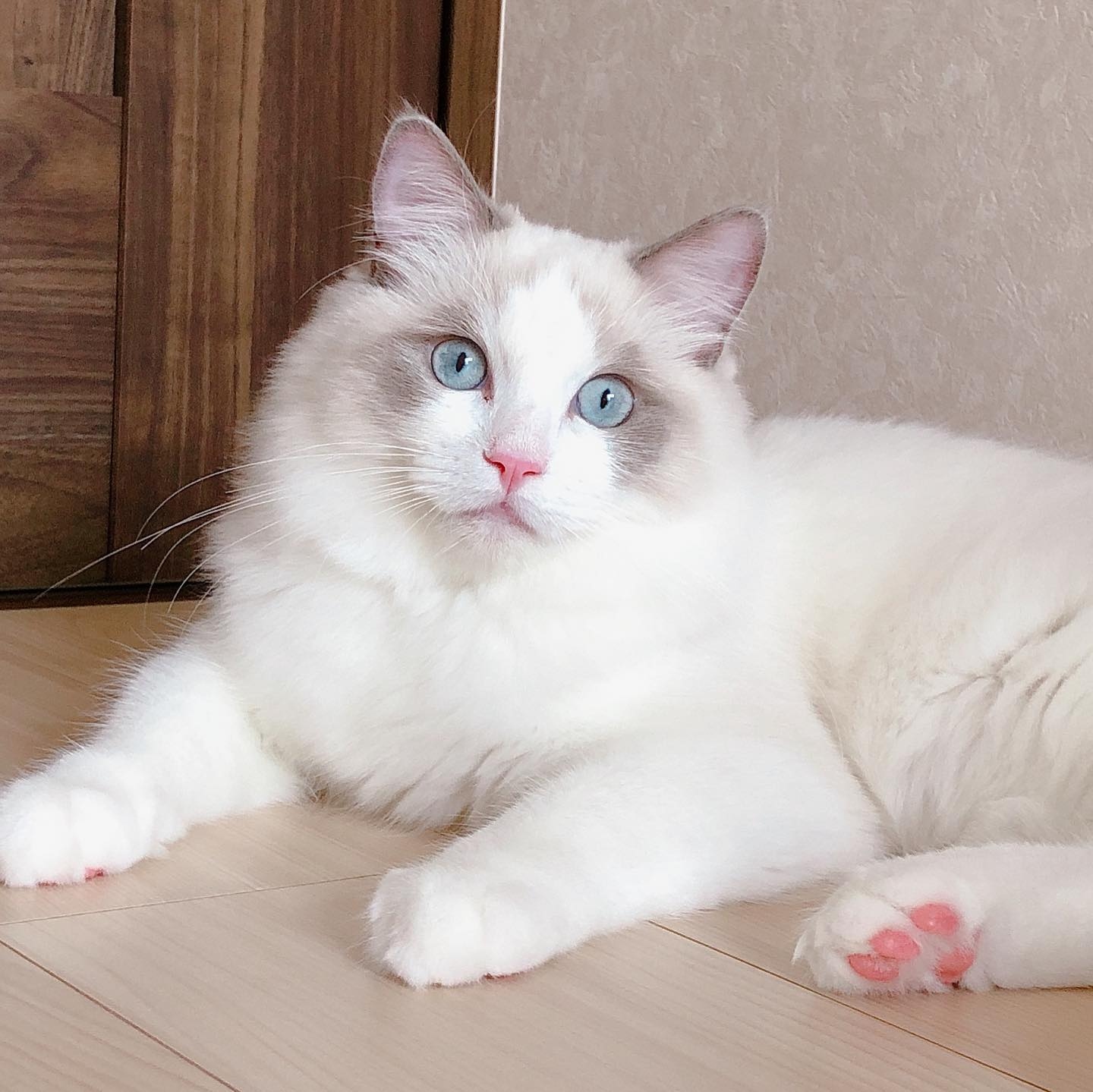 Prince