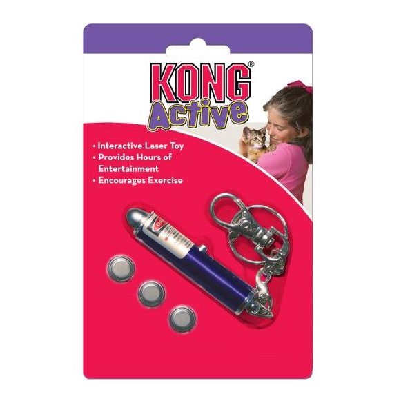 Interactive Laser Pointer