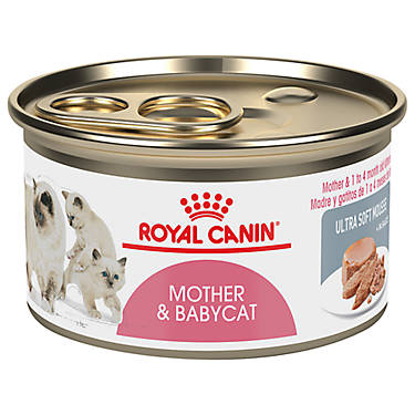Royal Canin Kitten Wet Food